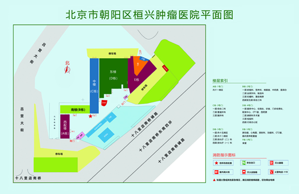 操巨大屄北京市朝阳区桓兴肿瘤医院平面图